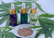 Georgia Active Medical Marijuana Patients in 2025.png