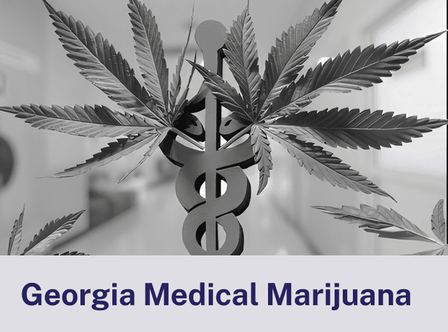 Georgia Medical.png